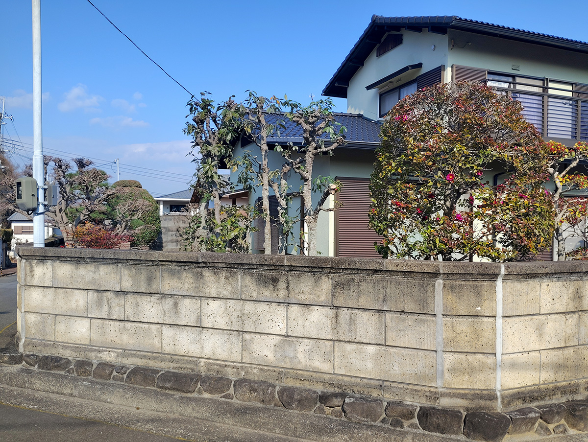 奈良県奈良市の現場　お庭全体の剪定作業完了後の状態