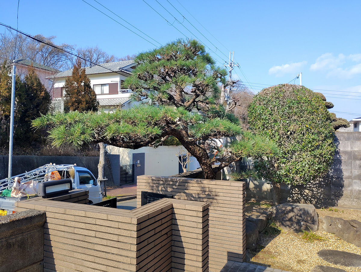 奈良県奈良市の現場　お庭全体の剪定作業完了後の状態